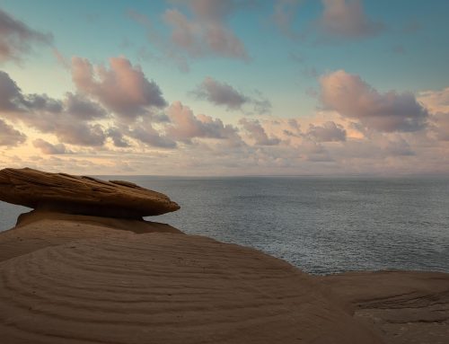 When Life Feels Overwhelming, Start Small