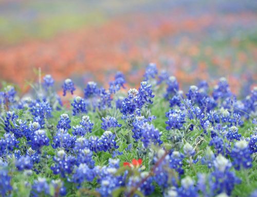 The Silence Between Stories: Navigating Life’s In-Between Seasons