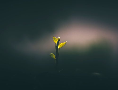 The Quiet Burnout – When It Doesn’t Look Like Collapse